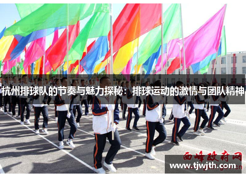 杭州排球队的节奏与魅力探秘：排球运动的激情与团队精神